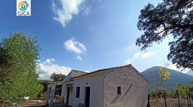 Cádiz - El Bosque - 23799m2