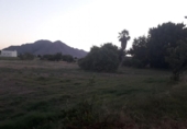 Non-developable land for sale on España, Callosa de Segura, ref: TR121012 photo