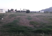 Non-developable land for sale on España, Callosa de Segura, ref: TR121012 photo