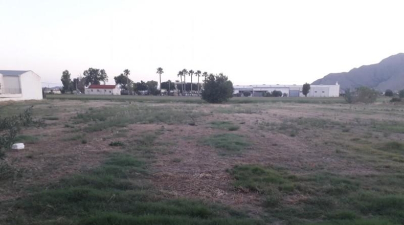 Alicante - Callosa de Segura - 8735m2