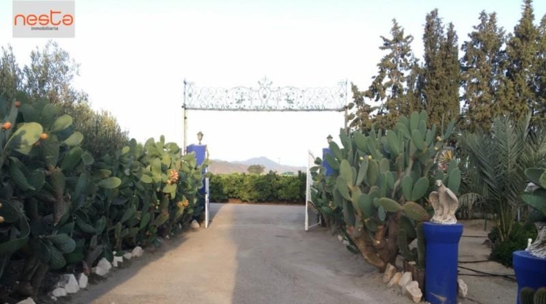 Murcia - Lorca - 13518m2