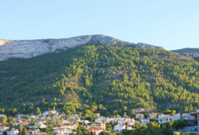 Foto 7