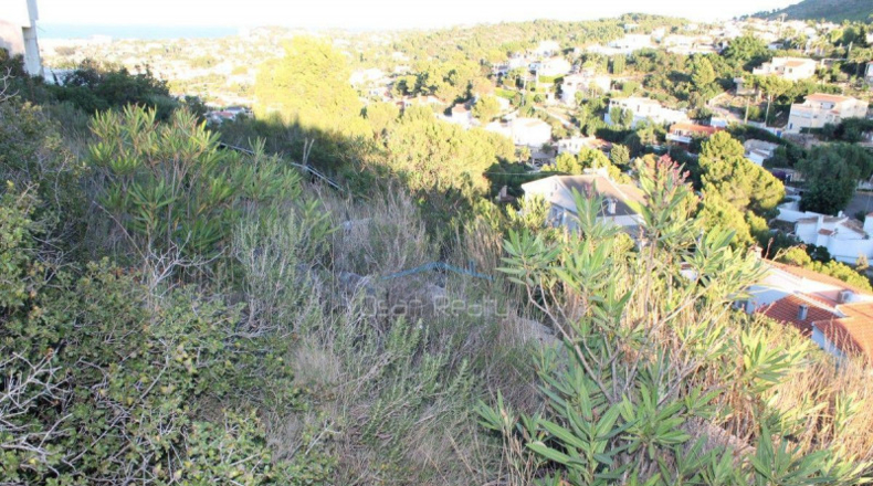 Alicante - Denia - 2065m2