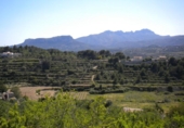 Terreny no urbanitzable en venda a la España, Benissa, ref.: TR112721 foto