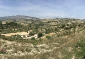 Terreny no urbanitzable en venda a la España, Benissa, ref.: TR112721 foto