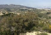 Terreny no urbanitzable en venda a la España, Benissa, ref.: TR112721 foto