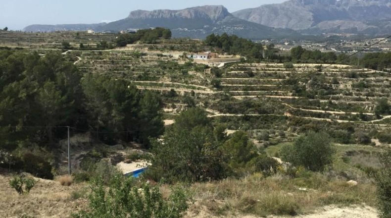 Alicante - Benisa - 15000m2