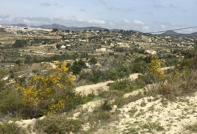 Foto 11