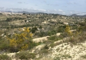 Terreny no urbanitzable en venda a la España, Benissa, ref.: TR112721 foto