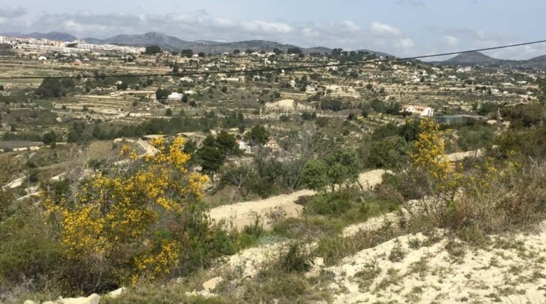 Alicante - Benisa - 15000m2