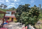 Finca rústica en venda a la España, Alzira, ref.: TR339091 foto