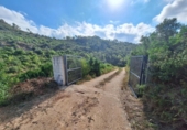 Finca rústica en venda a la España, Alzira, ref.: TR339091 foto