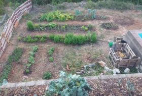 Foto 9