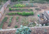 Finca rústica en venda a la España, Alzira, ref.: TR339091 foto