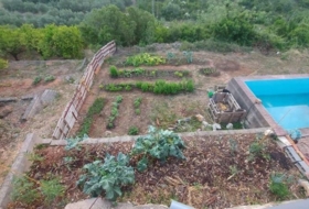 Foto 8