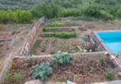Finca rústica en venda a la España, Alzira, ref.: TR339091 foto