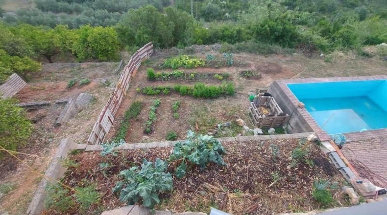 Valencia - Альсира - 61170m2