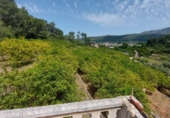 Finca rústica en venda a la España, Alzira, ref.: TR339091 foto