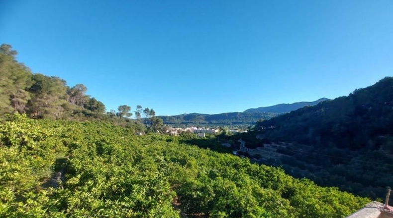 Valencia - Альсира - 61170m2