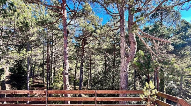 Tarragona - Roquetes - 4352m2