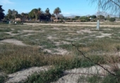 Terreny no urbanitzable en venda a la España, Mutxamel, ref.: TR220805 foto