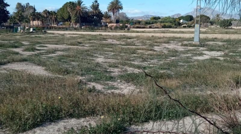 Alicante - Muchamiel - 12500m2