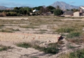 Terreny no urbanitzable en venda a la España, Mutxamel, ref.: TR220805 foto