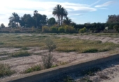 Terreny no urbanitzable en venda a la España, Mutxamel, ref.: TR220805 foto