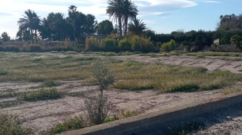 Alicante - Muchamiel - 12500m2
