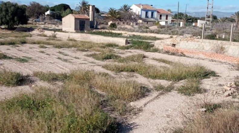 Alicante - Muchamiel - 12500m2