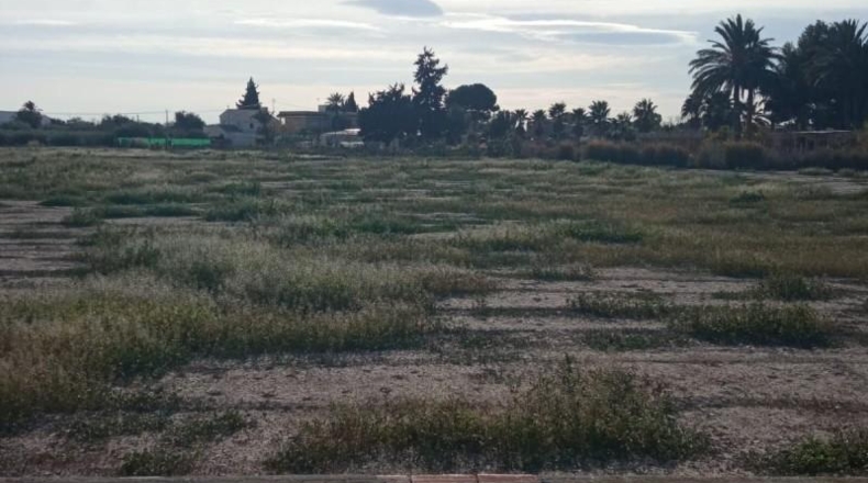 Alicante - Muchamiel - 12500m2