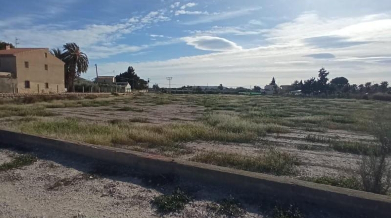 Alicante - Muchamiel - 12500m2