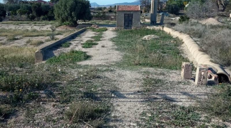 Alicante - Muchamiel - 12500m2
