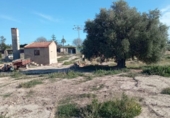 Terreny no urbanitzable en venda a la España, Mutxamel, ref.: TR220805 foto