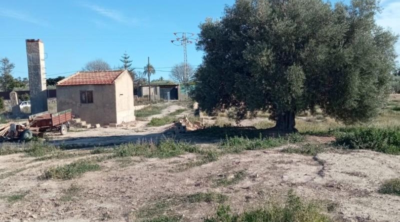 Alicante - Muchamiel - 12500m2