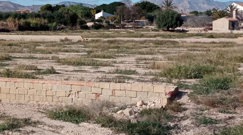 Alicante - Muchamiel - 12500m2