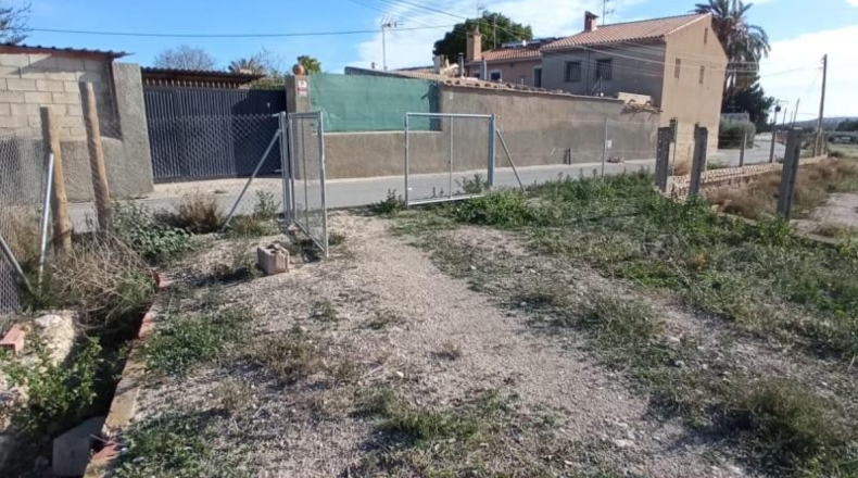 Alicante - Muchamiel - 12500m2