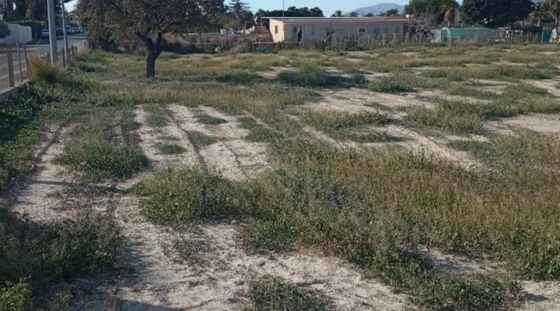 Alicante - Muchamiel - 12500m2