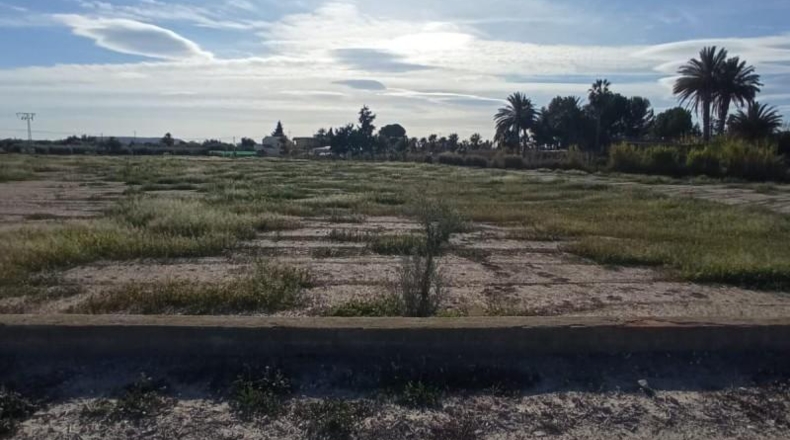 Alicante - Muchamiel - 12500m2