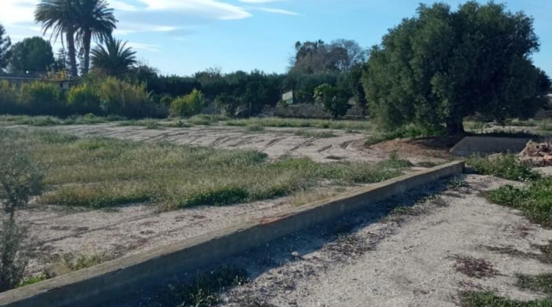 Alicante - Muchamiel - 12500m2