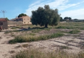 Terreny no urbanitzable en venda a la España, Mutxamel, ref.: TR220805 foto