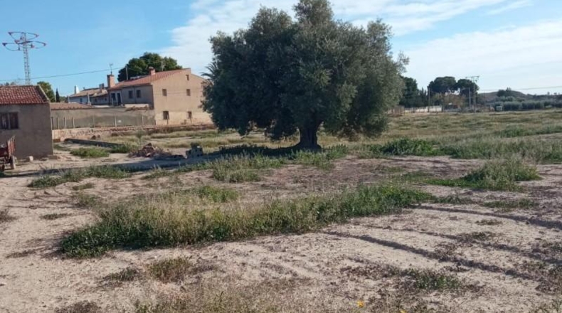 Alicante - Muchamiel - 12500m2