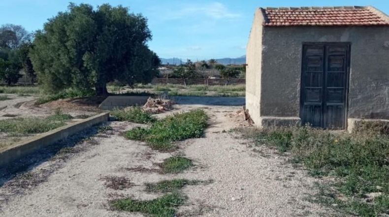 Alicante - Muchamiel - 12500m2