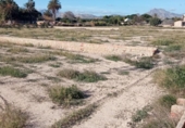 Terreny no urbanitzable en venda a la España, Mutxamel, ref.: TR220805 foto