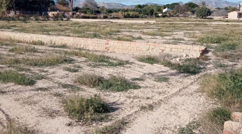 Alicante - Muchamiel - 12500m2
