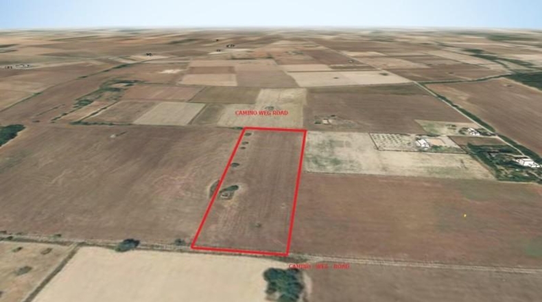 Islas Baleares - Sineu - 15000m2