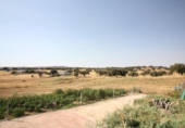 Finca rústica en venda a la España, Fuente Obejuna, ref.: TR295805 foto