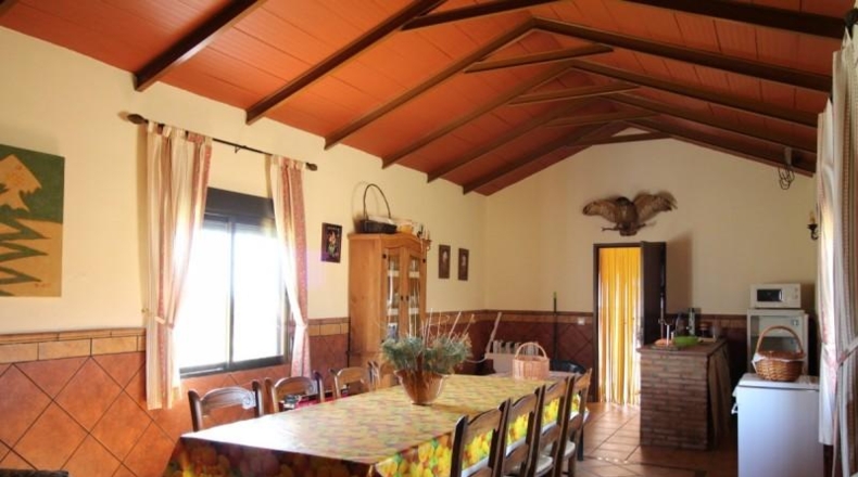 Córdoba - Còrdova - 40000m2