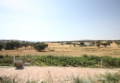 Finca rústica en venda a la España, Fuente Obejuna, ref.: TR295805 foto
