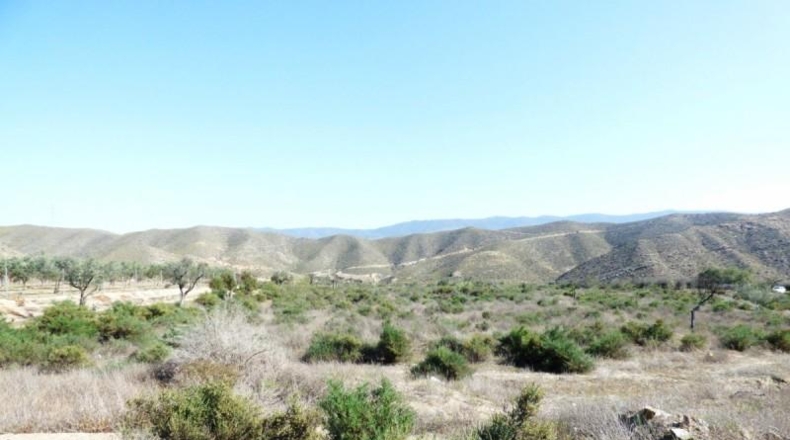Almeria - Tabernas - 3200m2